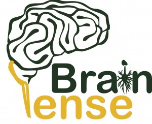 Pense
